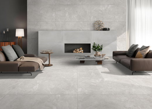 ASTONISHED GREY